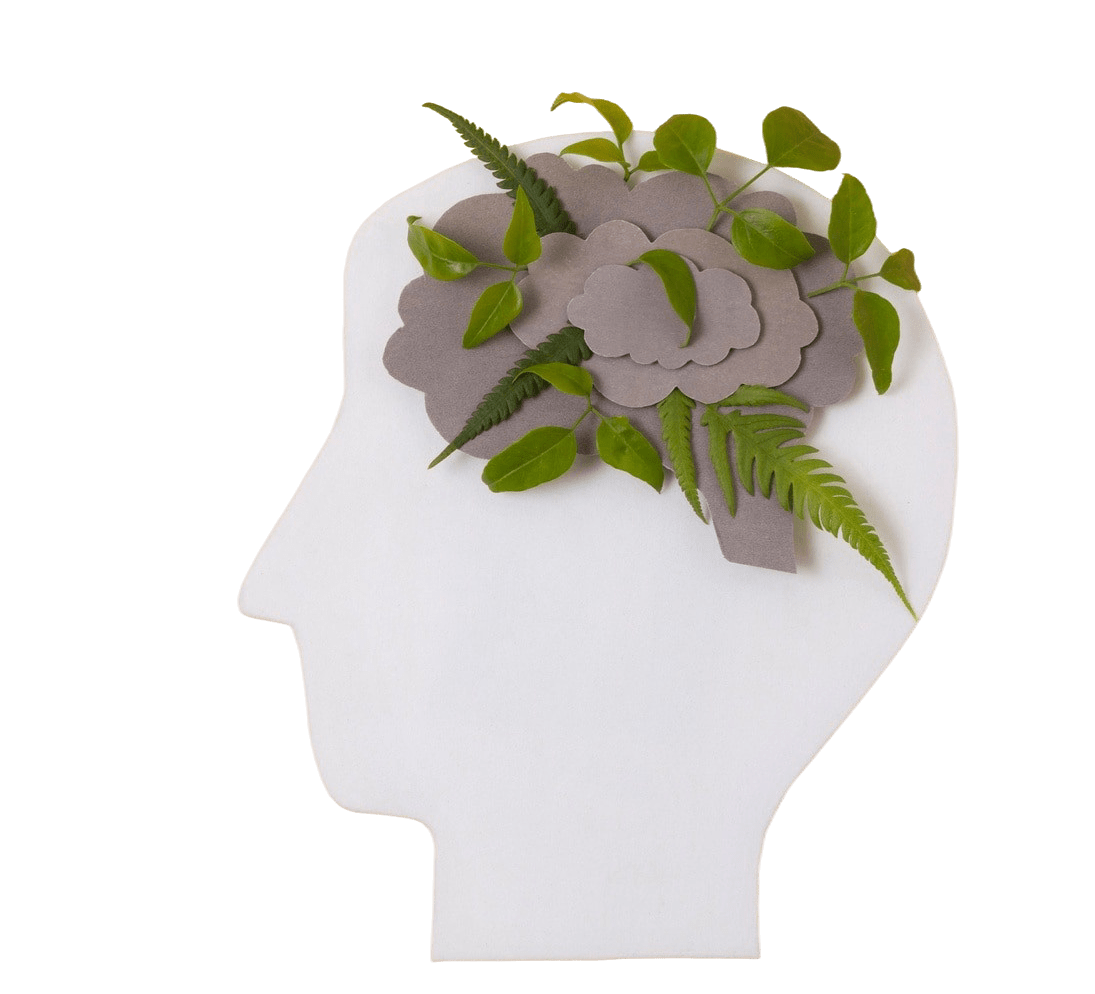 Salud Mental
